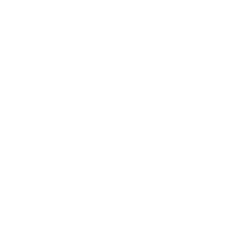 Ashley Madison Logo