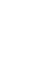 Reincubate Logo